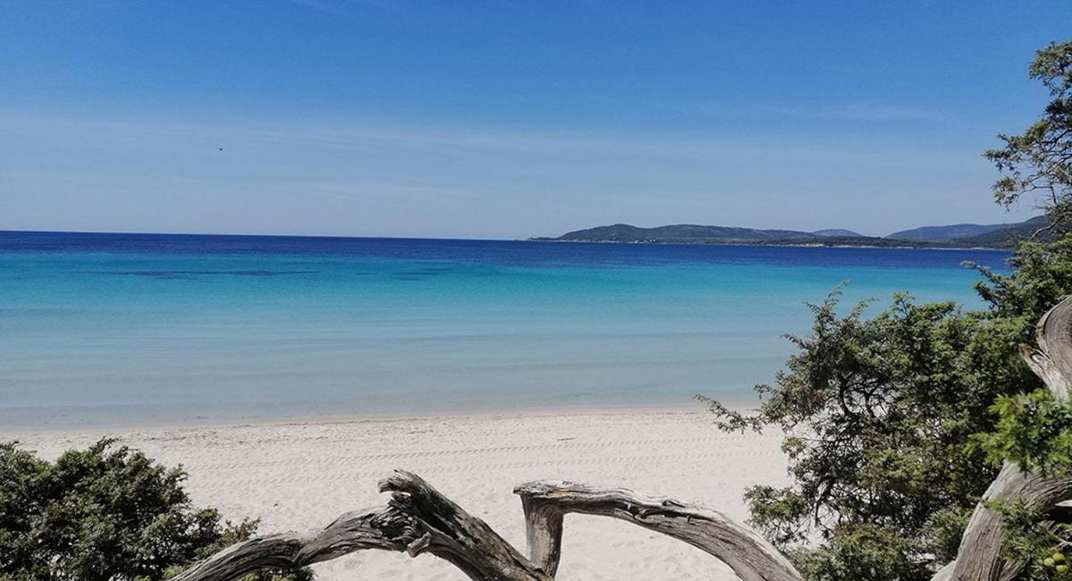 Lo Scrigno Di Ely * Alghero
